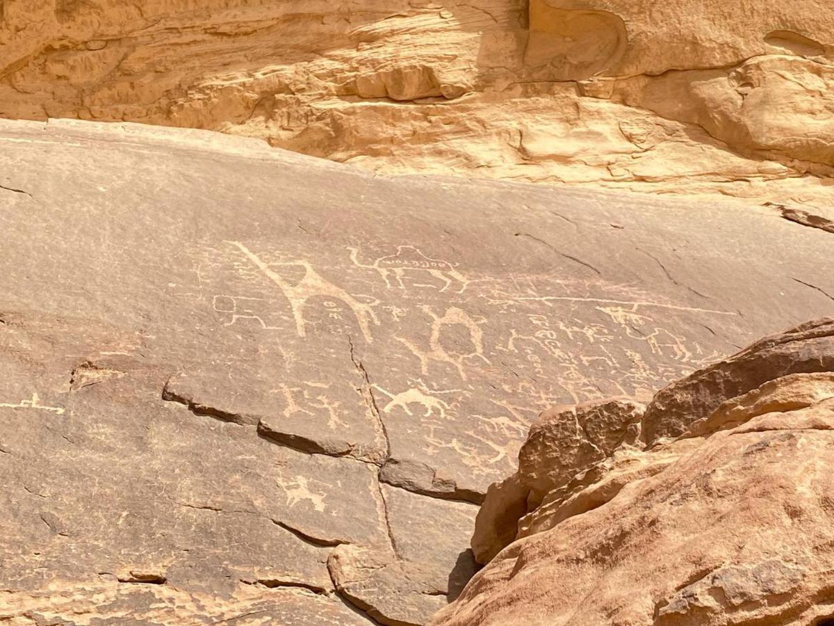Wadi Rum Maracana Camp Kültér fotó